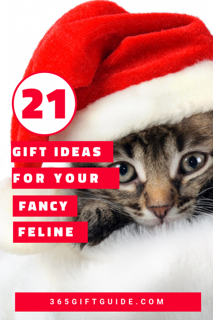 21 gift ideas for your fancy feline for christmas