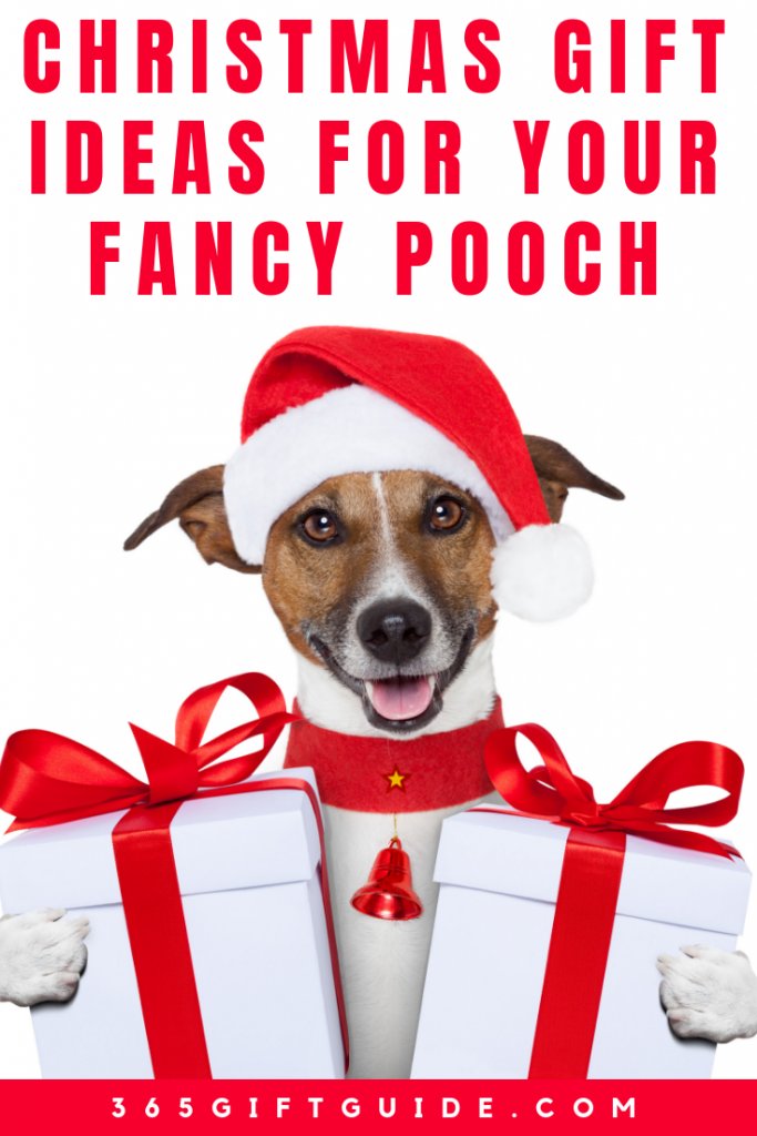 Christmas Gift Ideas for Your Fancy Pooch