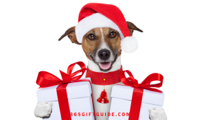 Christmas Gifts for Your Fancy Pooch
