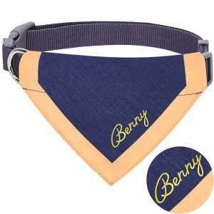 dog gifts, Blueberry Pet Classic Dog Collar Collection