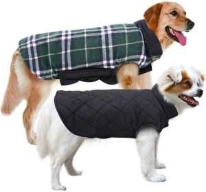 dog gifts, Dog Jackets for Winter