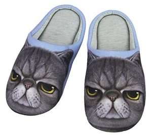 inexpensive gifts for cat lovers, Indoor Cartoon Slippers