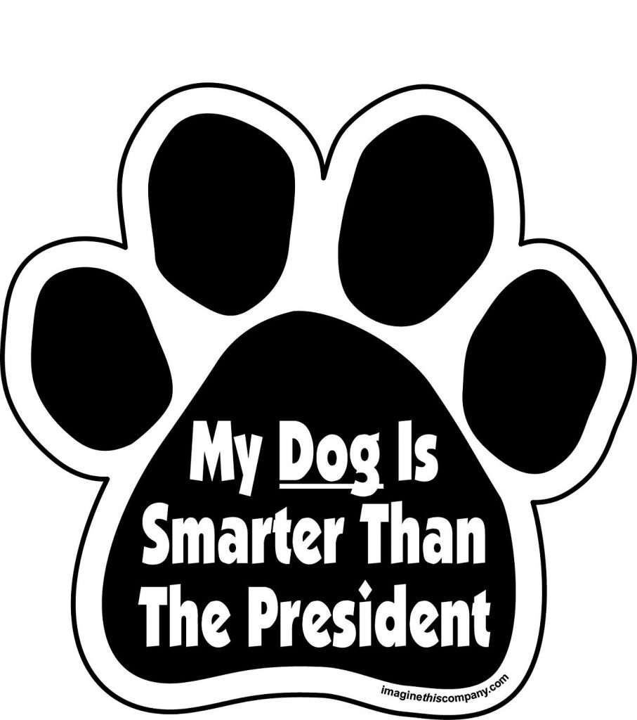 My Dog is Smarter Than the President Car Magnet, dog lover gifts