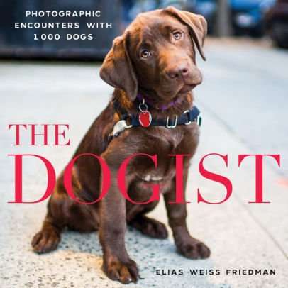 The Dogist- Photographic Encounters with 1,000 Dogs