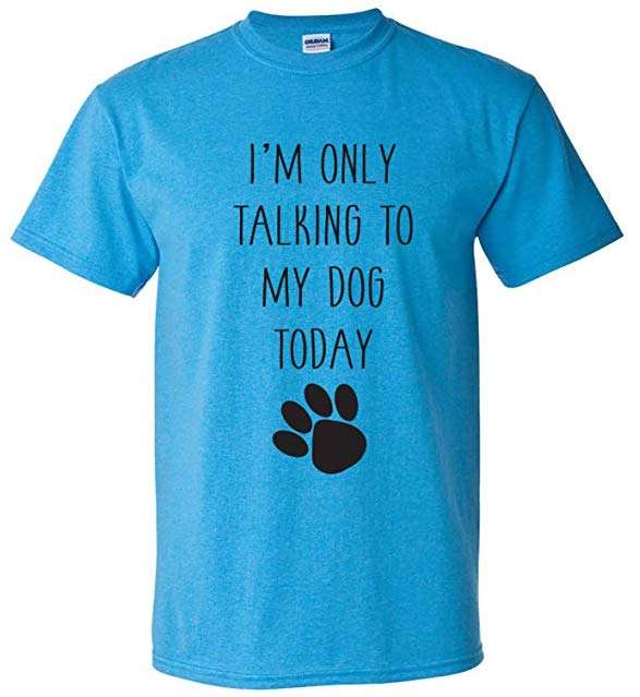 UGP Campus Apparel Talking to My Dog Today Tshirt, dog lover gifts