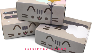 Pusheen box benefits