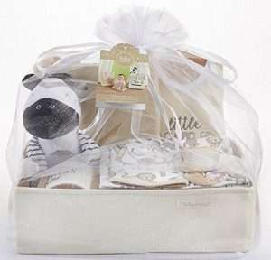 Animal Safari 9-Piece Baby Boy Gift Set  