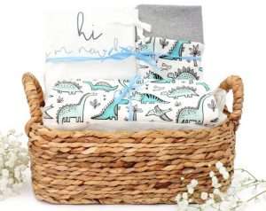 Dinosaur Themed Organic Baby Boy Gift Basket