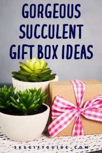 21 Best Succulent Gift Box Ideas