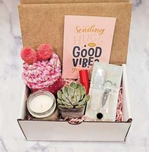 Cheer Up Succulent Gift Box