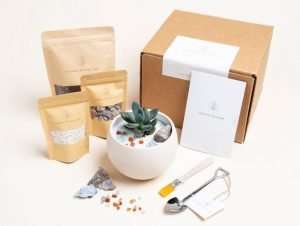 DIY Succulent Gift Box