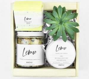 Lemon Succulent Gift Box