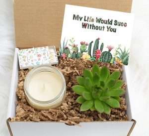 My Life Would SUCC Without You Succulent Gift Box