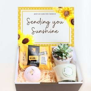 Sending You Sunshine Succulent Gift Box