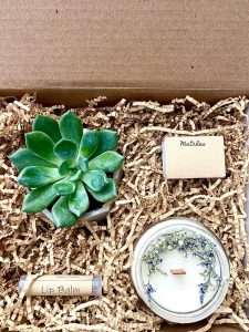 Spa Succulent Gift Box