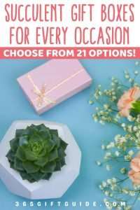 Succulent Gift Boxes for Every Occasion