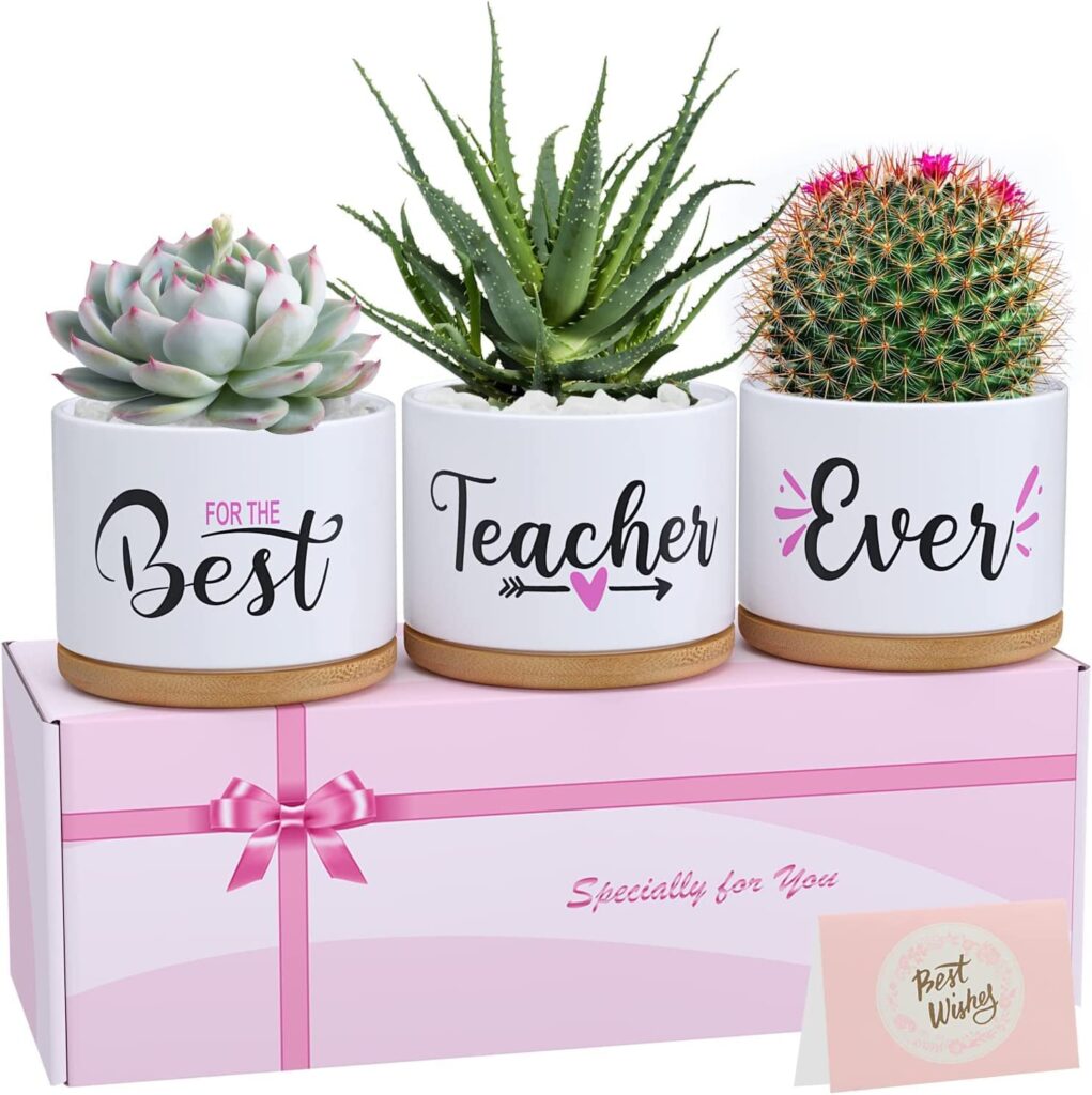 Best-Teacher-Ever-Succulent-Pots