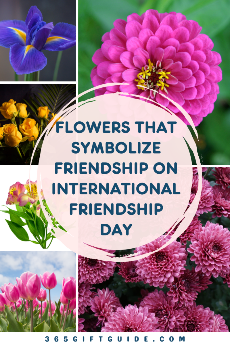 Top 7 Flowers That Symbolize Friendship 365 Gift Guide
