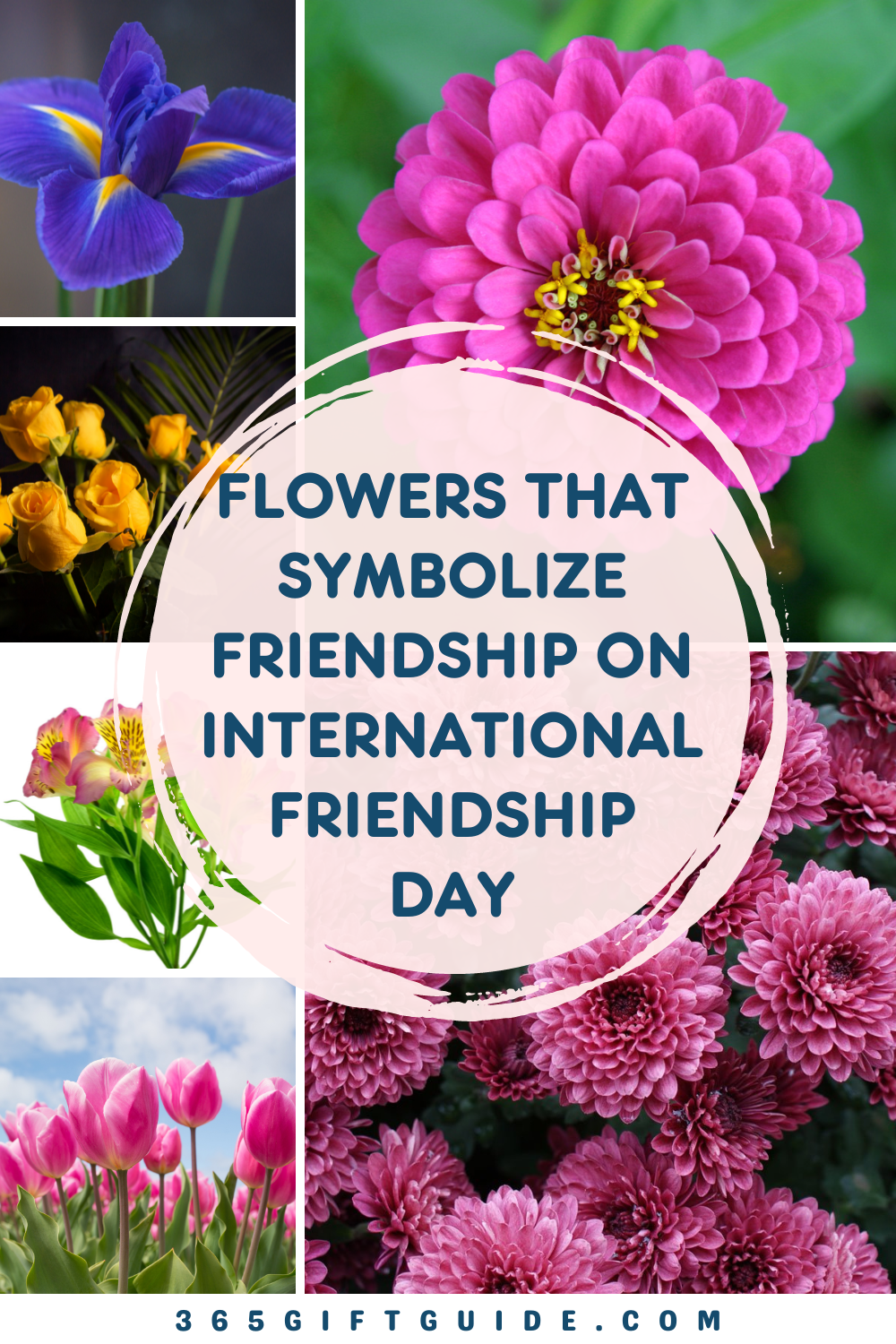 Top-9-Flowers-That-Symbolize-Friendship-on-International-Friendship-Day